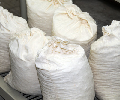 Sea Salt Processing - Packaged